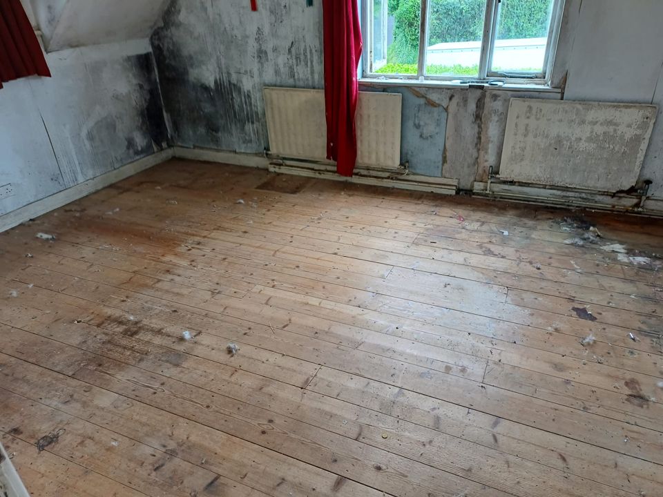 Empty room with bare floorboards after a full house clearance